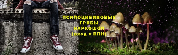 круглые Карпинск